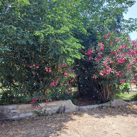 Apartament Rotonde Ognina